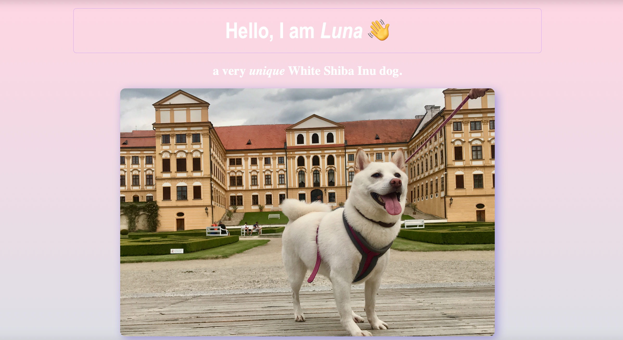 Luna Shiba Inu Website